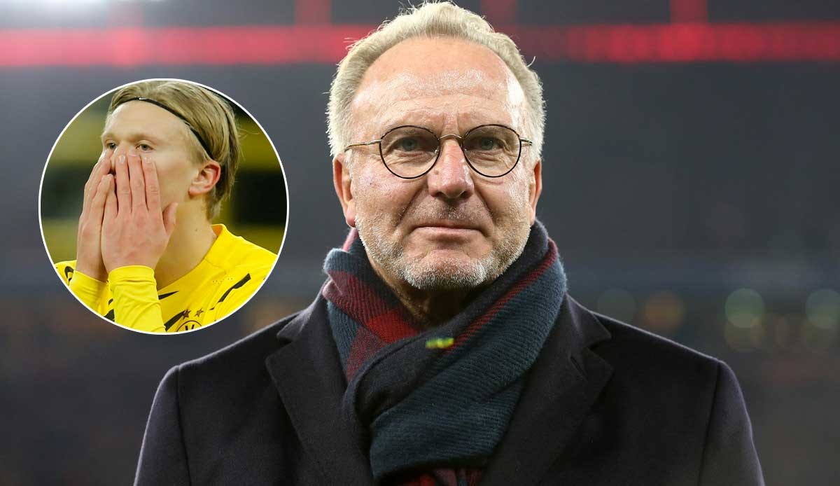 海港迎来质 海港迎来质