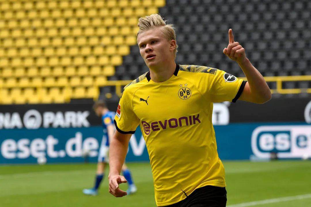 基本面与情 基本面与情